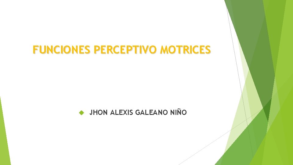 FUNCIONES PERCEPTIVO MOTRICES JHON ALEXIS GALEANO NIÑO 