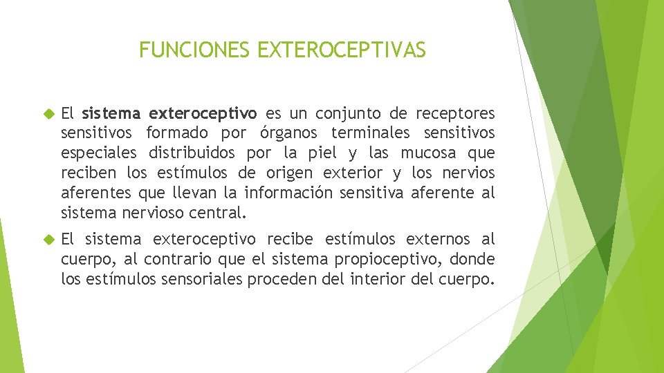 FUNCIONES EXTEROCEPTIVAS El sistema exteroceptivo es un conjunto de receptores sensitivos formado por órganos