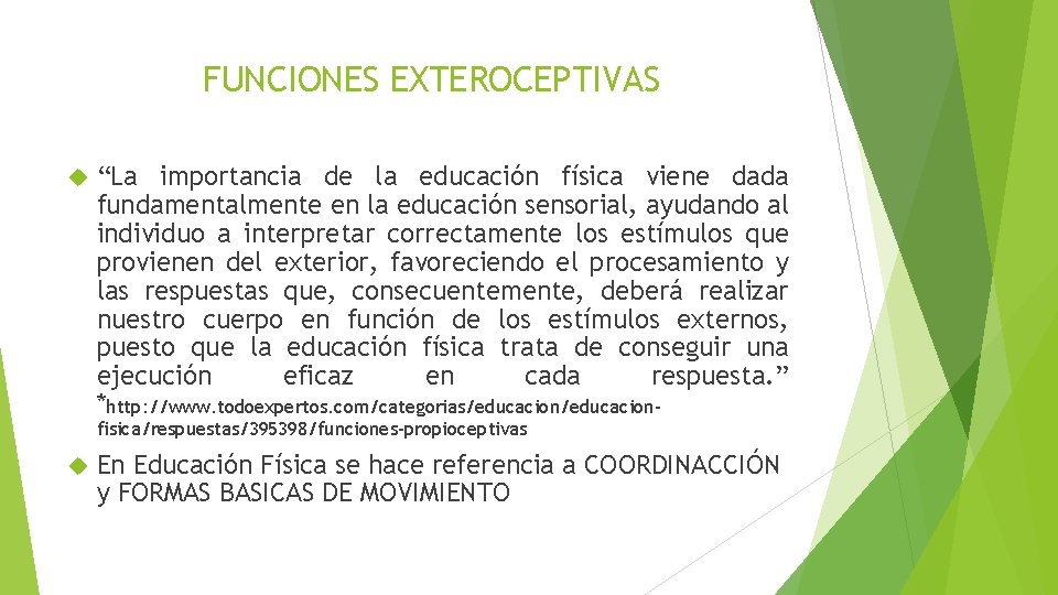 FUNCIONES EXTEROCEPTIVAS “La importancia de la educación física viene dada fundamentalmente en la educación