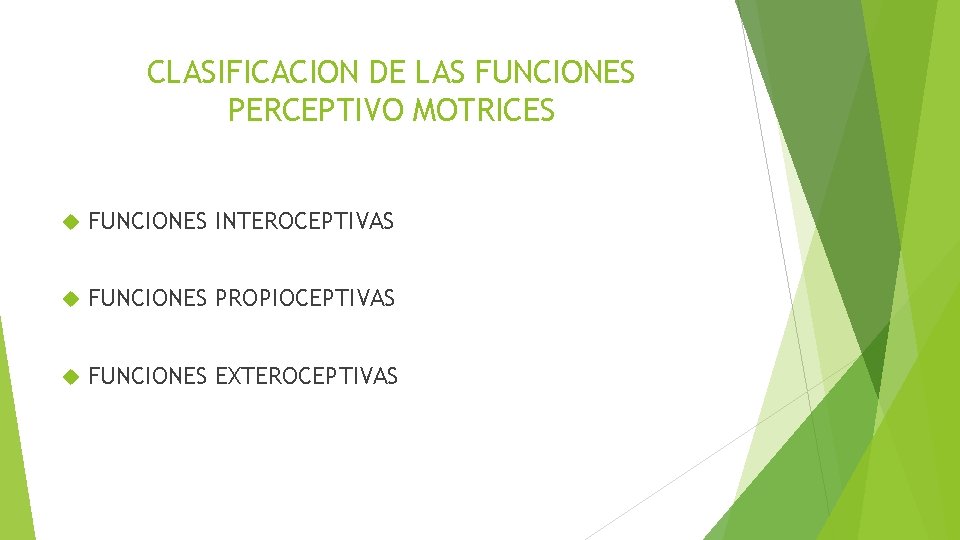 CLASIFICACION DE LAS FUNCIONES PERCEPTIVO MOTRICES FUNCIONES INTEROCEPTIVAS FUNCIONES PROPIOCEPTIVAS FUNCIONES EXTEROCEPTIVAS 
