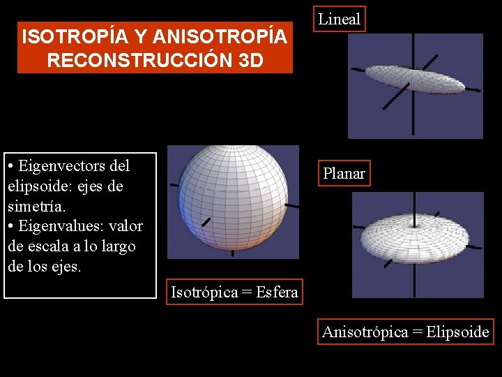 ISOTROPÍA Y ANISOTROPÍA RECONSTRUCCIÓN 3 D • Eigenvectors del elipsoide: ejes de simetría. •