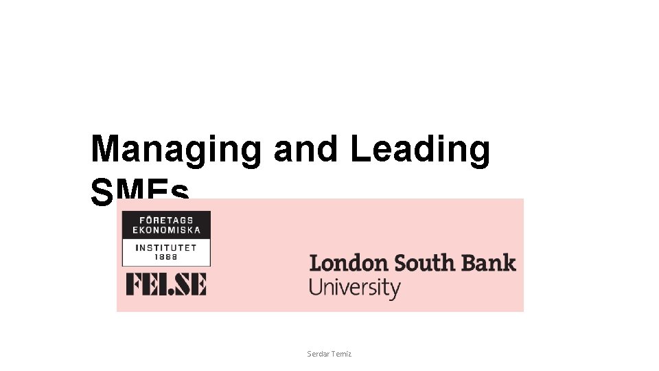 Managing and Leading SMEs Serdar Temiz Managing and Leading SMEs Serdar Temiz