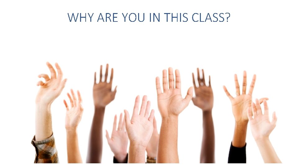 WHY ARE YOU IN THIS CLASS? Serdar Temiz WHY ARE YOU IN THIS CLASS? Serdar Temiz