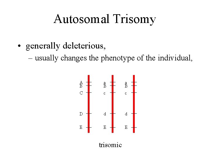 Autosomal Trisomy • generally deleterious, – usually changes the phenotype of the individual, A