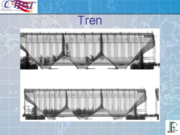 Tren Tren