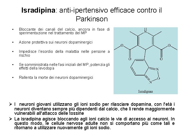 Isradipina: anti-ipertensivo efficace contro il Parkinson • Bloccante dei canali del calcio, ancora in