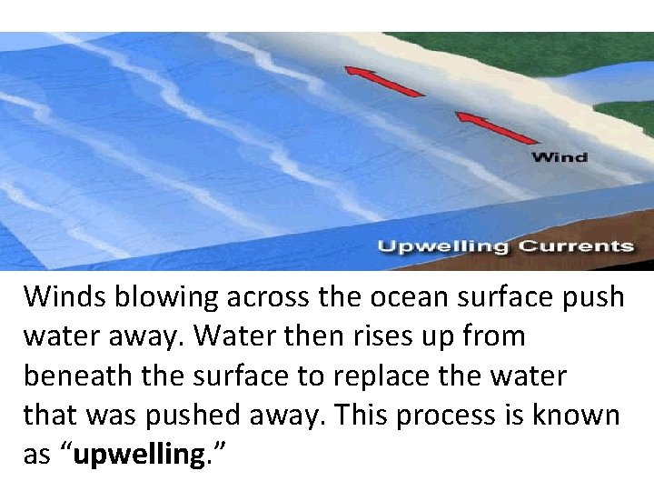 Winds blowing across the ocean surface push water away. Water then rises up from