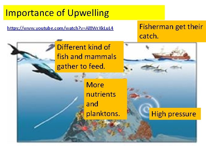 Importance of Upwelling https: //www. youtube. com/watch? v=Al 8 Wr. Xk. Lu. L 4