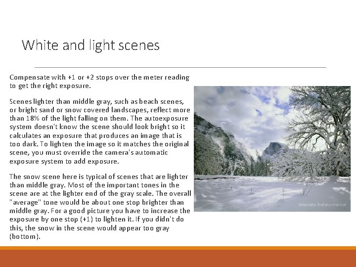 White and light scenes Compensate with +1 or +2 stops over the meter reading