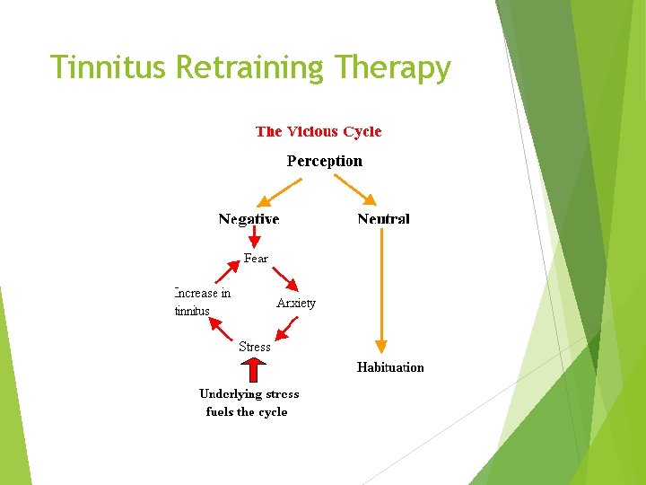 Tinnitus Retraining Therapy 
