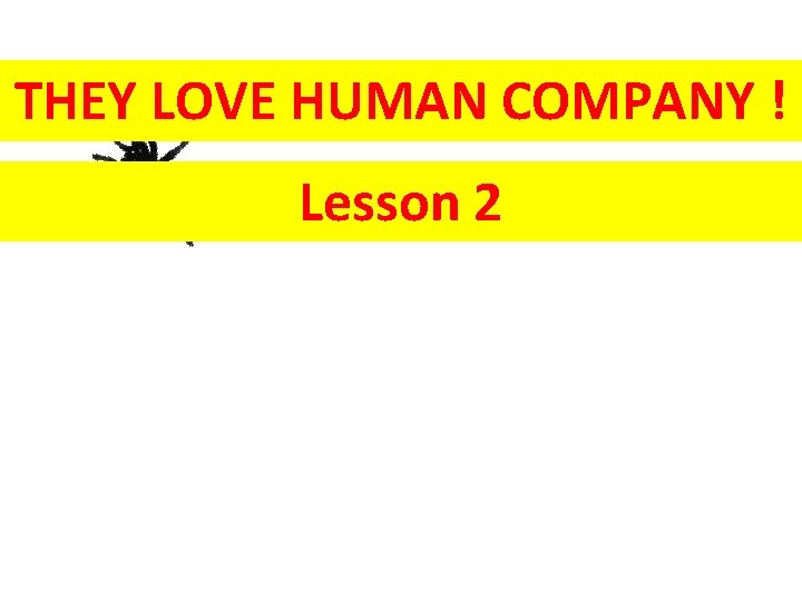 THEY LOVE HUMAN COMPANY ! Lesson 2 