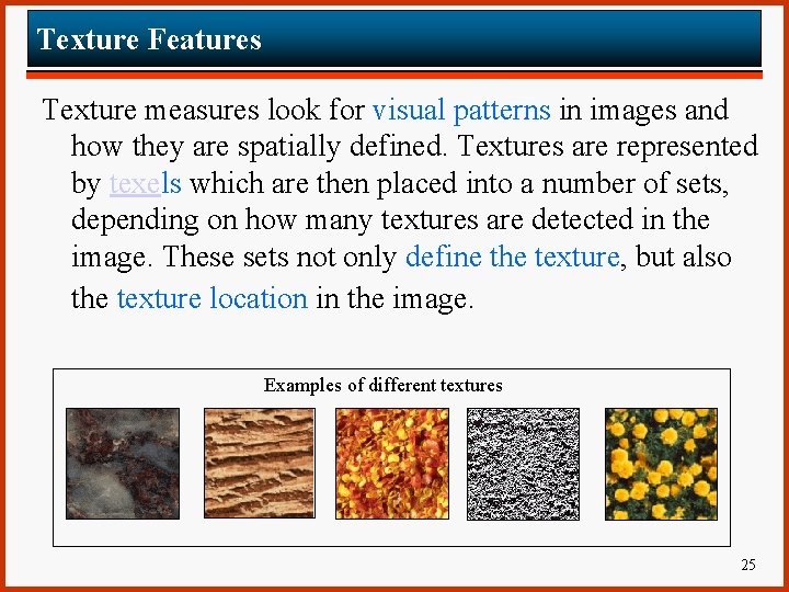 Texture Features Texture measures look for visual patterns in images and how they are