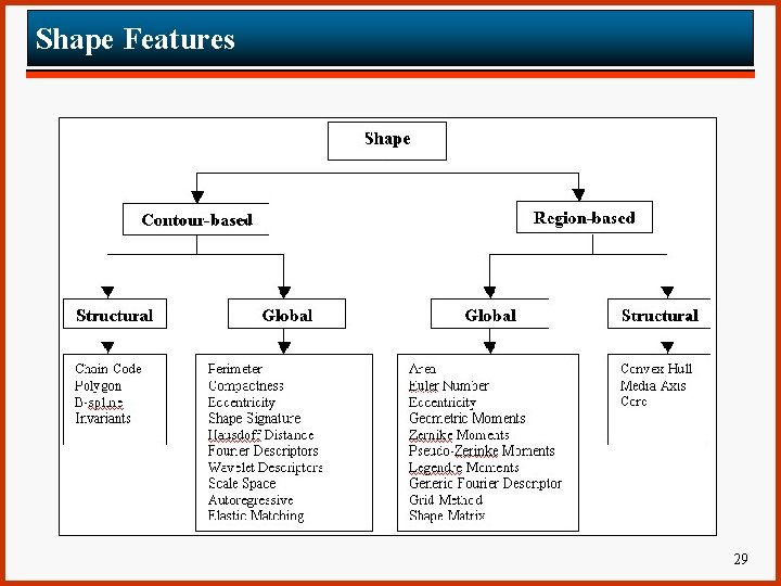 Shape Features 29 