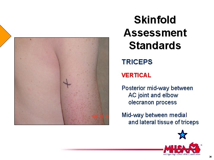 Skinfold Assessment Standards TRICEPS VERTICAL Posterior mid-way between AC joint and elbow olecranon process