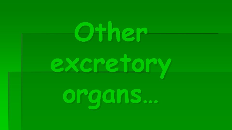 Other excretory organs… 
