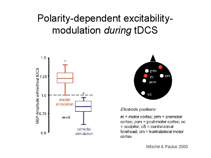 Polarity-dependent excitabilitymodulation during t. DCS Nitsche & Paulus 2000 