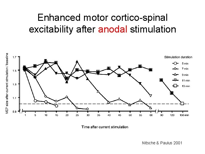 Enhanced motor cortico-spinal excitability after anodal stimulation Nitsche & Paulus 2001 