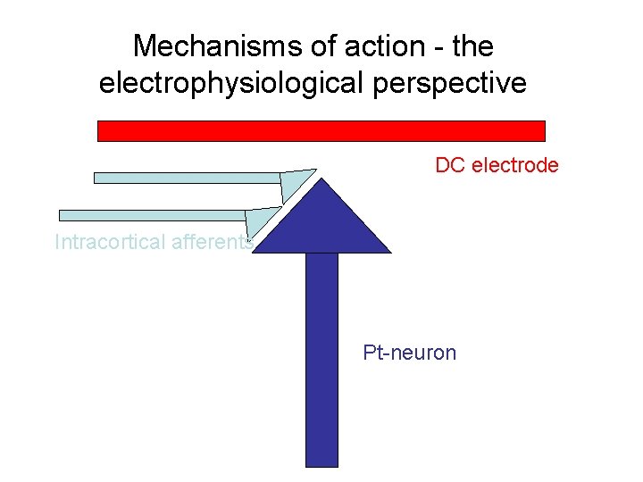 Mechanisms of action - the electrophysiological perspective DC electrode Intracortical afferents Pt-neuron 