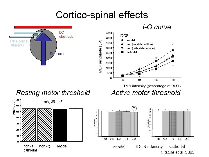 Cortico-spinal effects DC electrode I-O curve Intracortical afferents Pt-neuron Resting motor threshold Intra-t. DCS