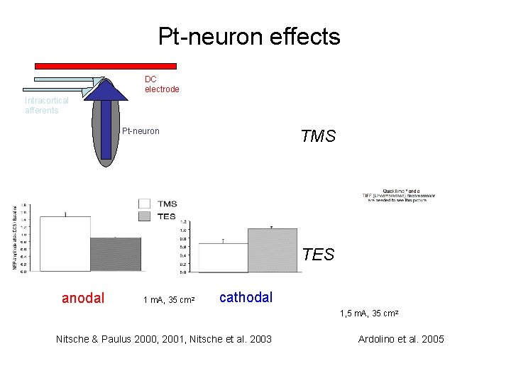 Pt-neuron effects DC electrode Intracortical afferents Pt-neuron TMS TES anodal 1 m. A, 35