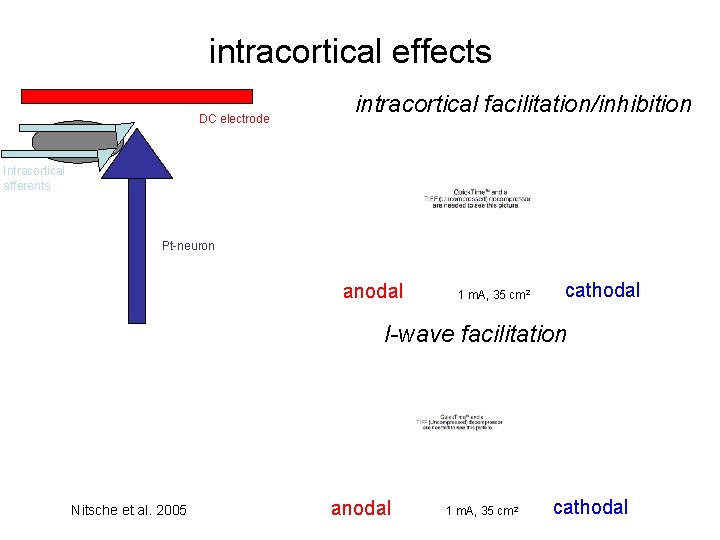intracortical effects DC electrode intracortical facilitation/inhibition Intracortical afferents Pt-neuron anodal 1 m. A, 35