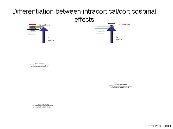 Differentiation between intracortical/corticospinal effects DC electrode Intracortical afferents Ptneuron Boros et al. 2008 