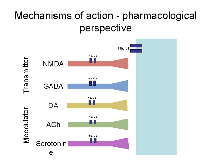 Mechanisms of action - pharmacological perspective Transmitter Na, Ca NMDA Na, Ca GABA Mdodulator