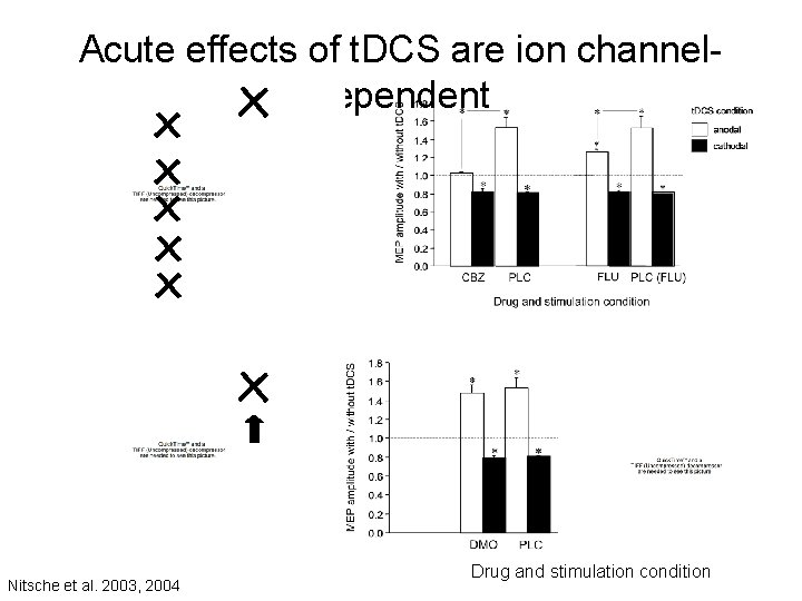 Acute effects of t. DCS are ion channeldependent Nitsche et al. 2003, 2004 Drug