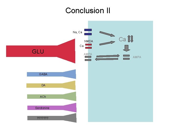 Conclusion II Na, Ca NMDA Ca Ca GLU GABA DA ACh Serotonine ? ?