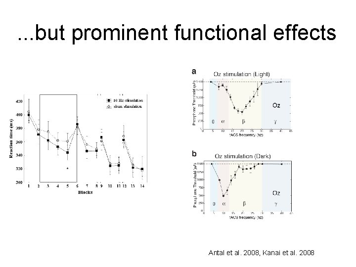 . . . but prominent functional effects Antal et al. 2008, Kanai et al.