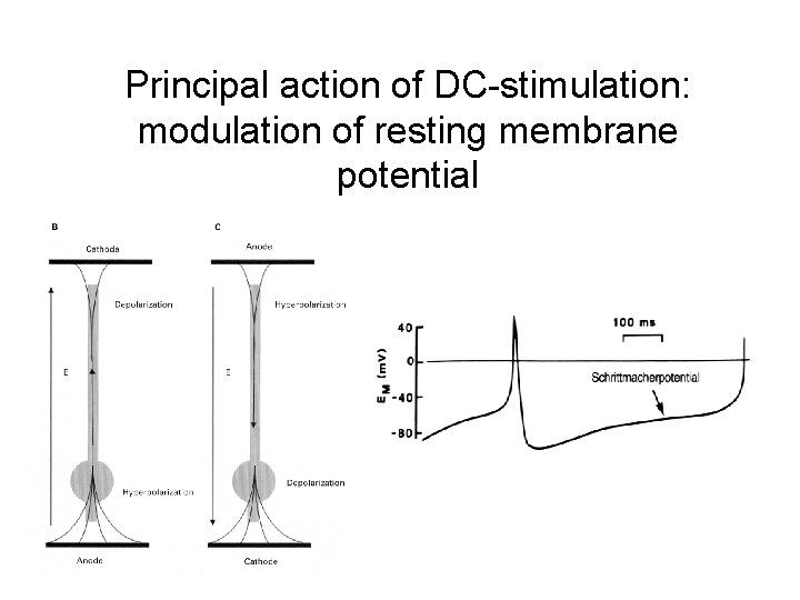 Principal action of DC-stimulation: modulation of resting membrane potential 