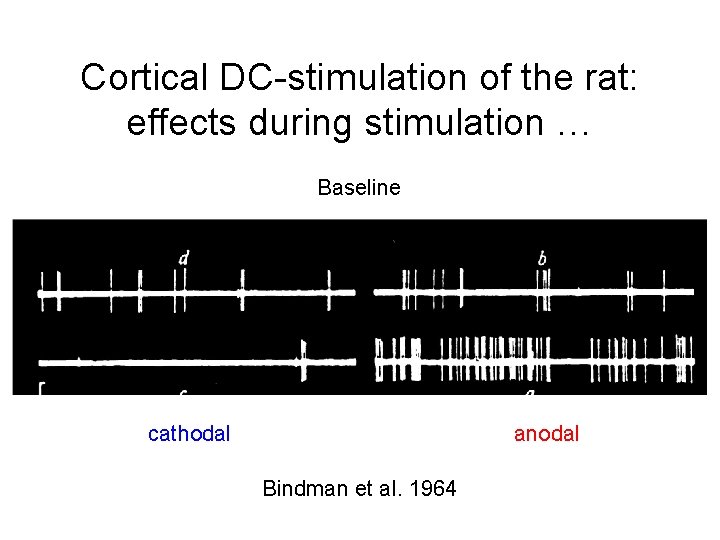 Cortical DC-stimulation of the rat: effects during stimulation … Baseline Text cathodal anodal Bindman