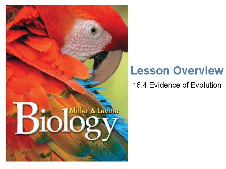 Lesson Overview Evidence of Evolution Lesson Overview 16. 4 Evidence of Evolution 