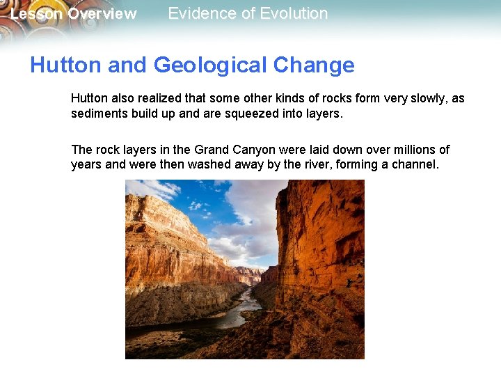 Lesson Overview Evidence of Evolution Hutton and Geological Change Hutton also realized that some
