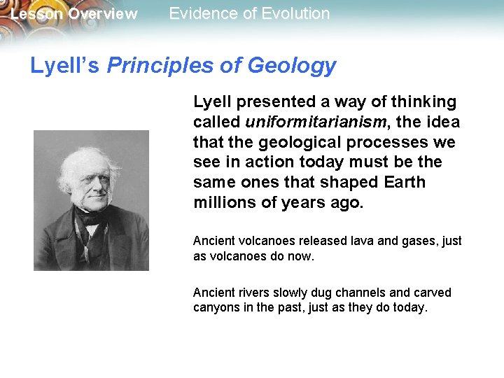 Lesson Overview Evidence of Evolution Lyell’s Principles of Geology Lyell presented a way of