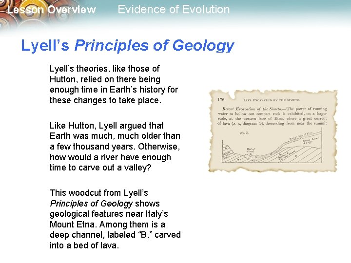 Lesson Overview Evidence of Evolution Lyell’s Principles of Geology Lyell’s theories, like those of