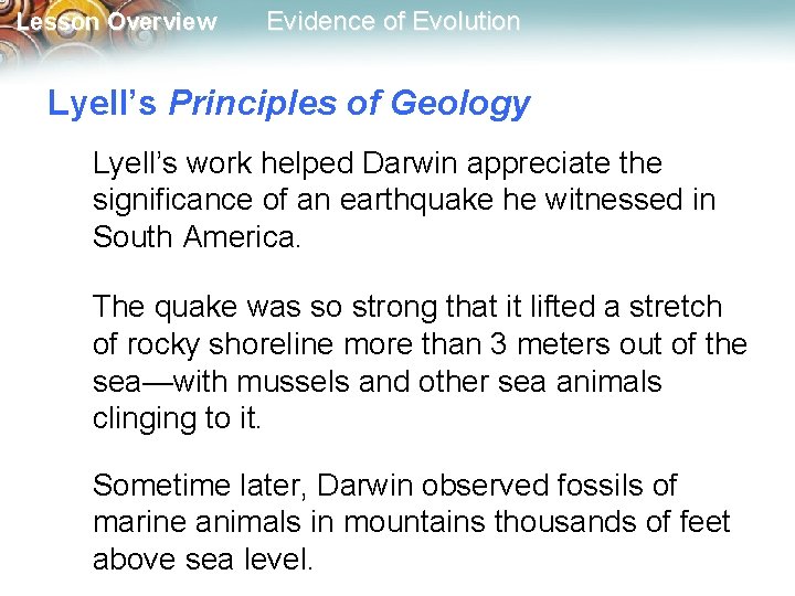 Lesson Overview Evidence of Evolution Lyell’s Principles of Geology Lyell’s work helped Darwin appreciate