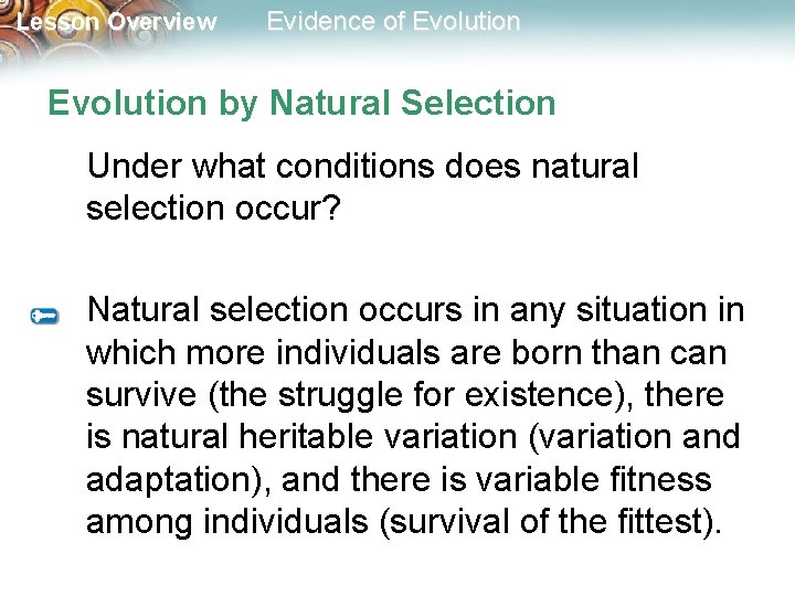 Lesson Overview Evidence of Evolution by Natural Selection Under what conditions does natural selection