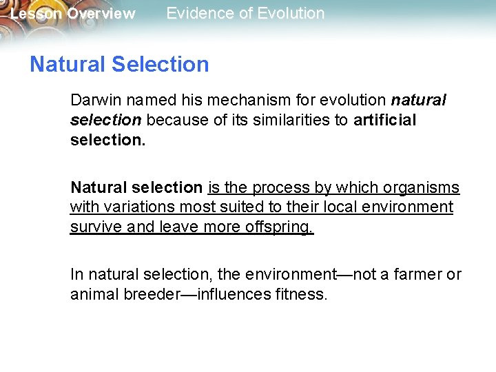 Lesson Overview Evidence of Evolution Natural Selection Darwin named his mechanism for evolution natural