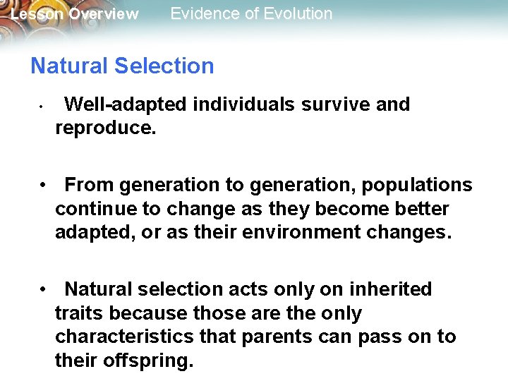 Lesson Overview Evidence of Evolution Natural Selection • Well-adapted individuals survive and reproduce. •