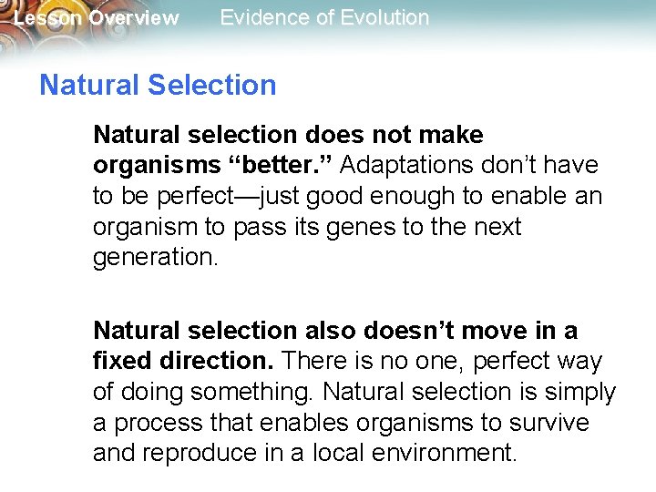 Lesson Overview Evidence of Evolution Natural Selection Natural selection does not make organisms “better.