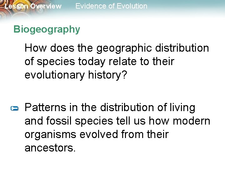 Lesson Overview Evidence of Evolution Biogeography How does the geographic distribution of species today