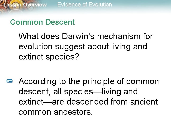 Lesson Overview Evidence of Evolution Common Descent What does Darwin’s mechanism for evolution suggest