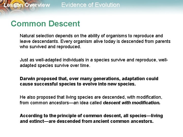 Lesson Overview Evidence of Evolution Common Descent Natural selection depends on the ability of