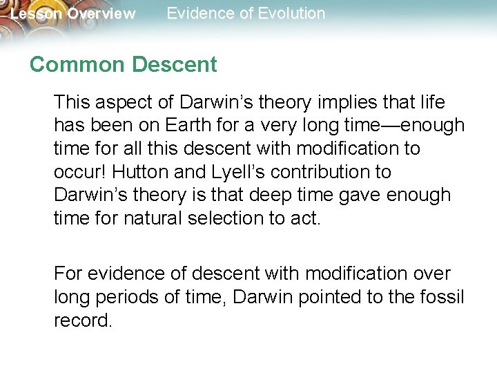 Lesson Overview Evidence of Evolution Common Descent This aspect of Darwin’s theory implies that