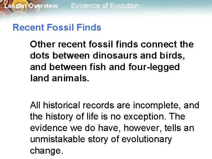 Lesson Overview Evidence of Evolution Recent Fossil Finds Other recent fossil finds connect the