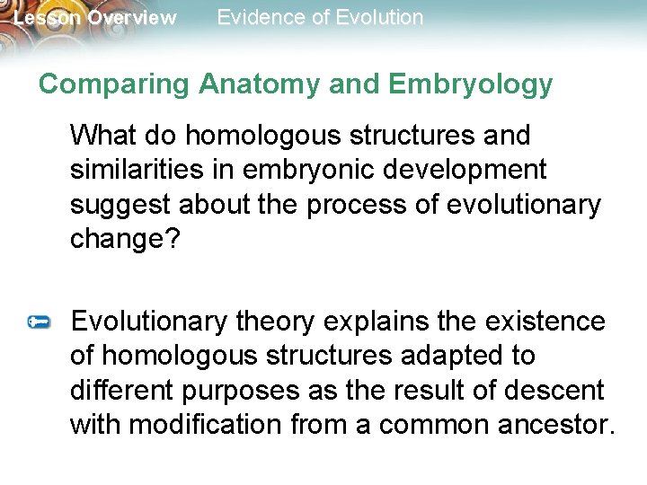 Lesson Overview Evidence of Evolution Comparing Anatomy and Embryology What do homologous structures and