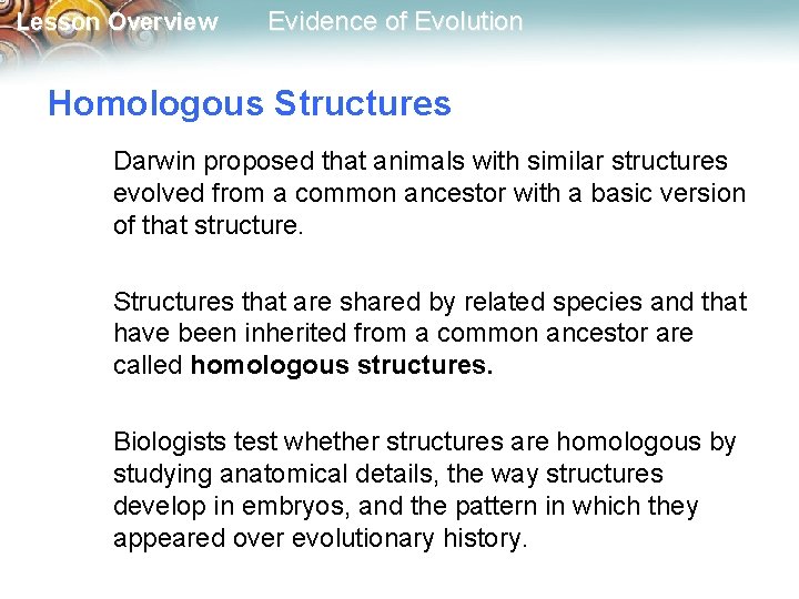 Lesson Overview Evidence of Evolution Homologous Structures Darwin proposed that animals with similar structures