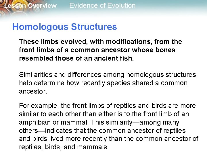 Lesson Overview Evidence of Evolution Homologous Structures These limbs evolved, with modifications, from the