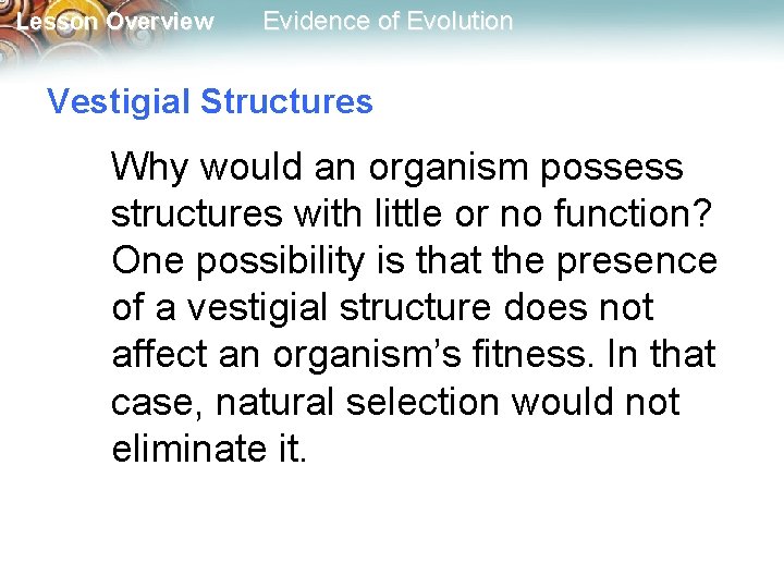 Lesson Overview Evidence of Evolution Vestigial Structures Why would an organism possess structures with